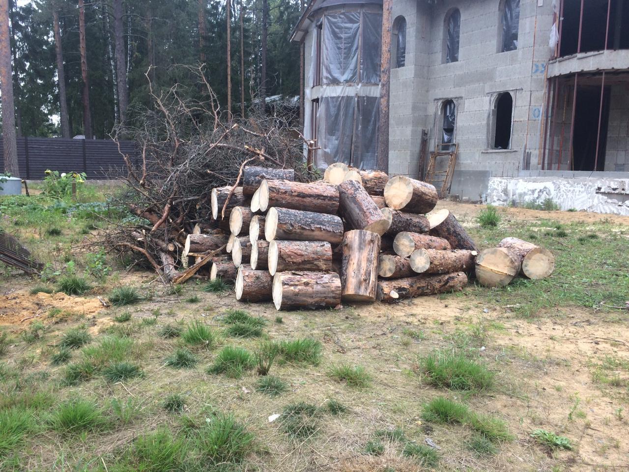 Расчистка участка от деревев