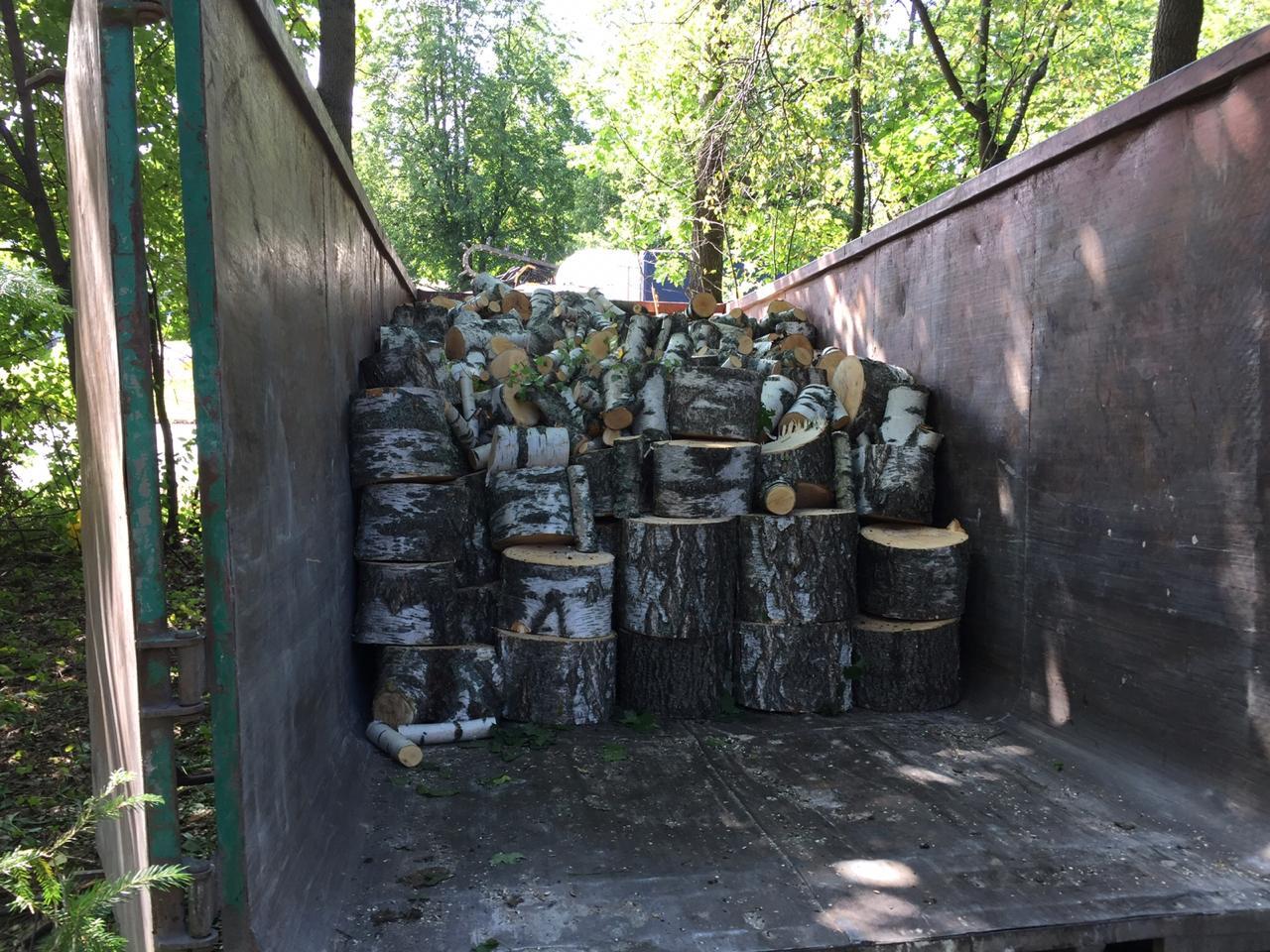 Удаление деревьев с вывозом